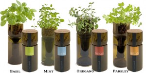 GrowBottle  -Grow Some Fresh Herbs