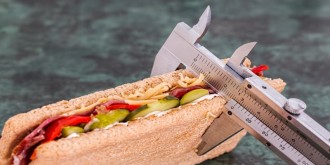 healthy weight loss recipes
